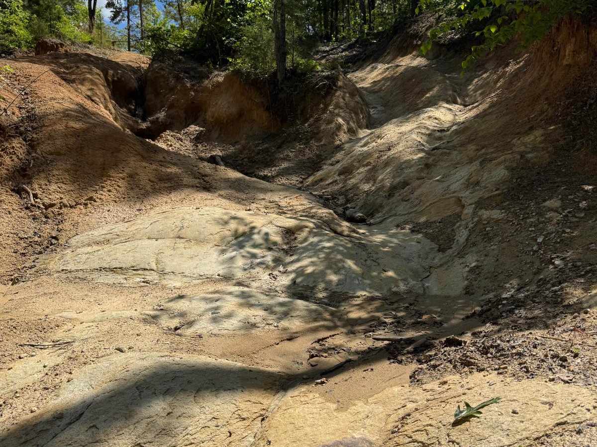 Radical Ravine photo 4