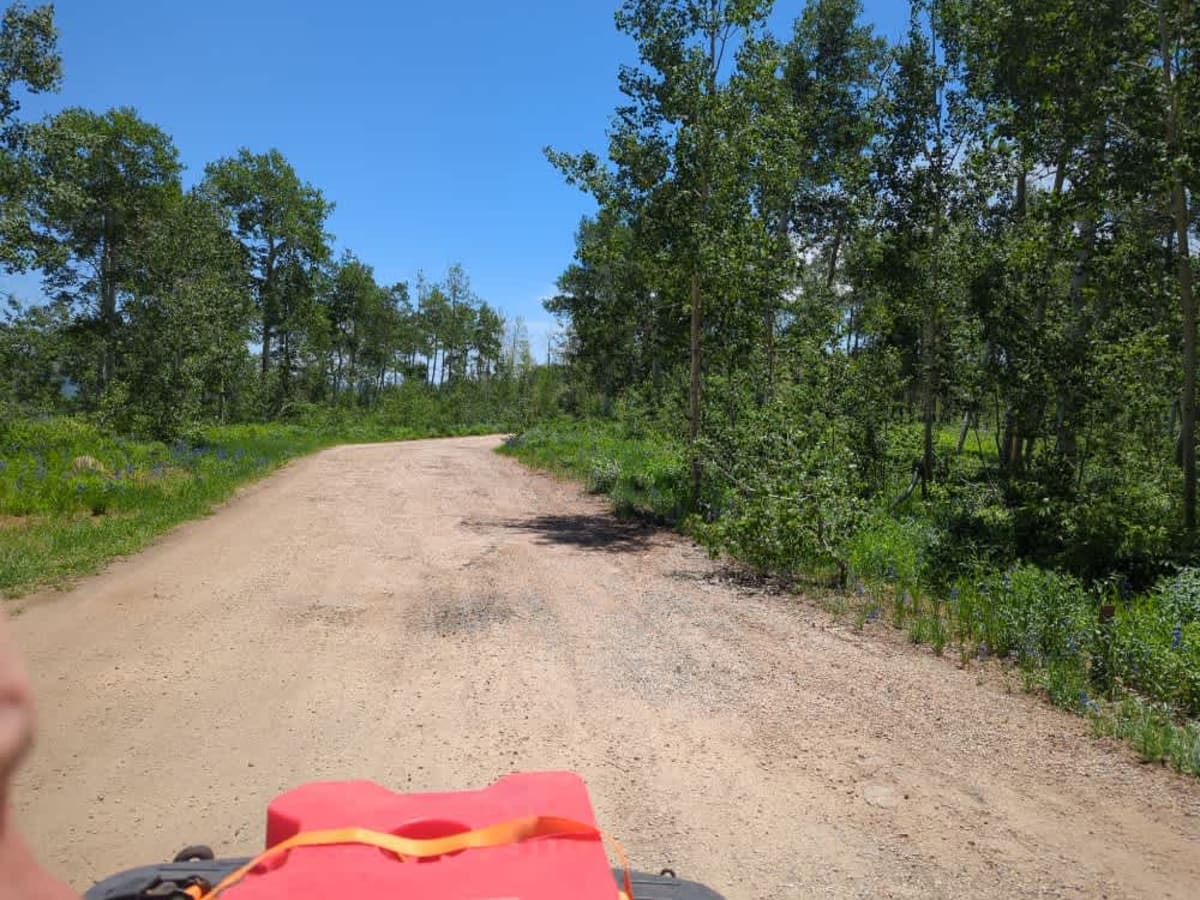 FS 201 trail photo