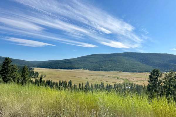 Mount Creek