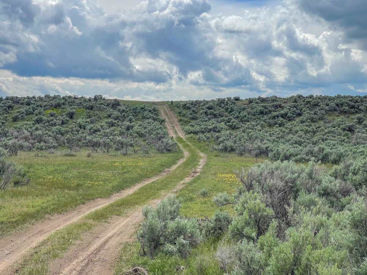 Menan Butte to Market Lake photo 3