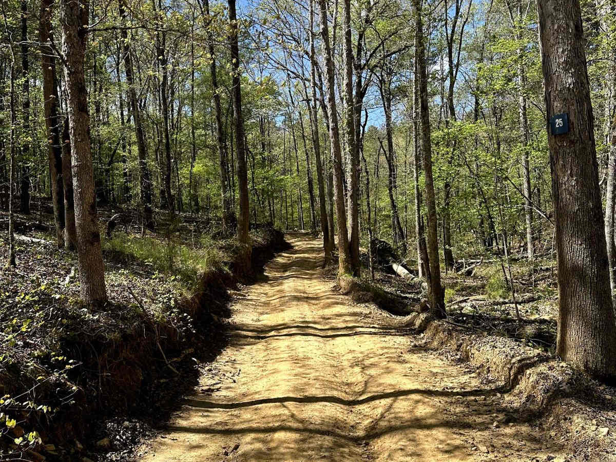 Trail 25 photo 6