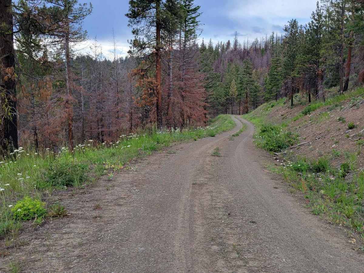Cow Creek Road 4415040 photo 6