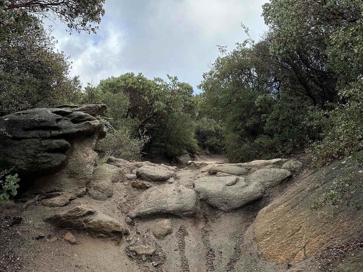 Wrangler Trail (901) photo 2