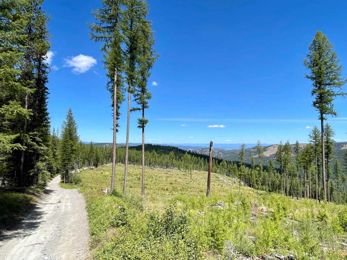 Wild Bill Eagle Mountain to The Playground trail photo