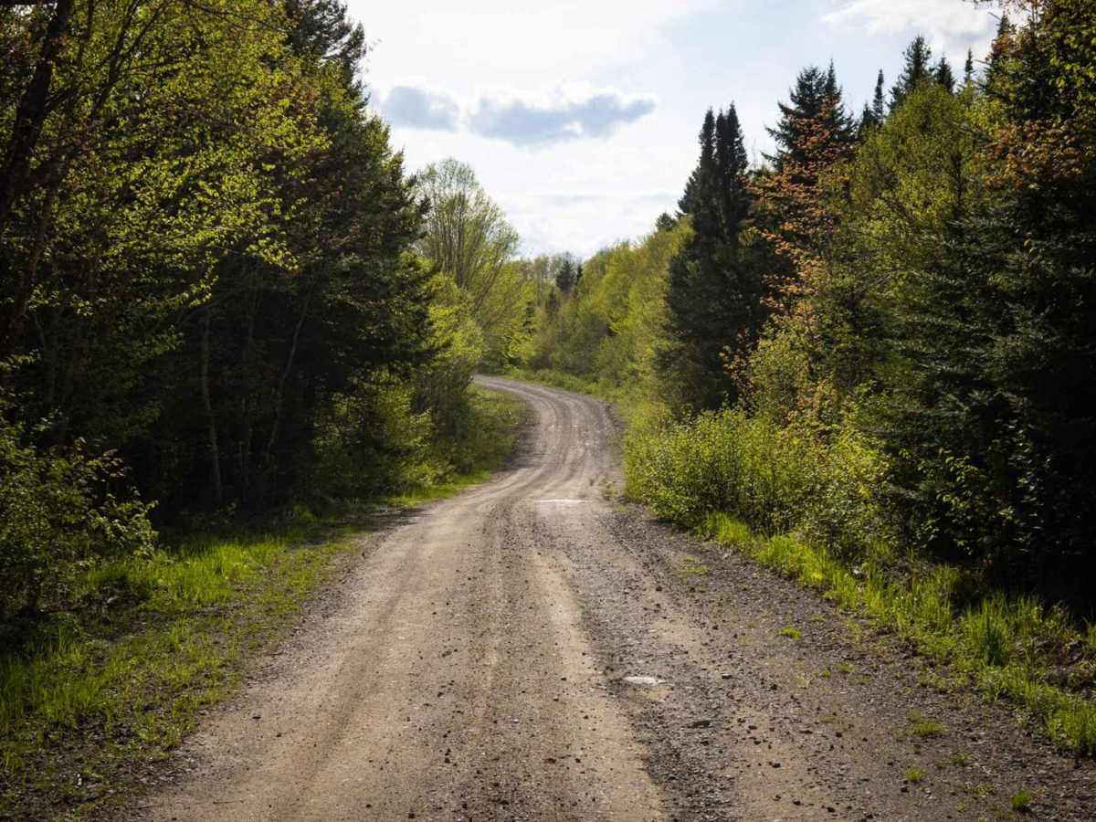 White Car Trail photo 5