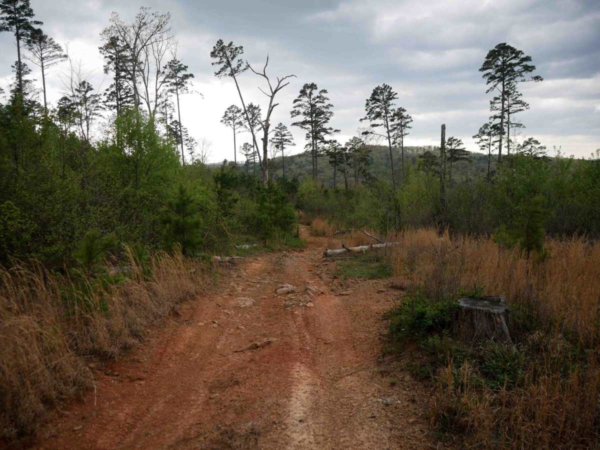 High Mountain Loop B photo 6