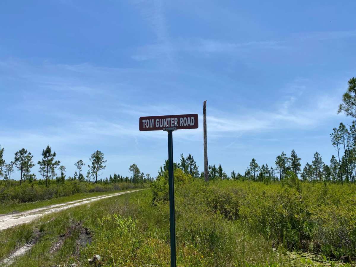 Tom Gunter Road trail photo