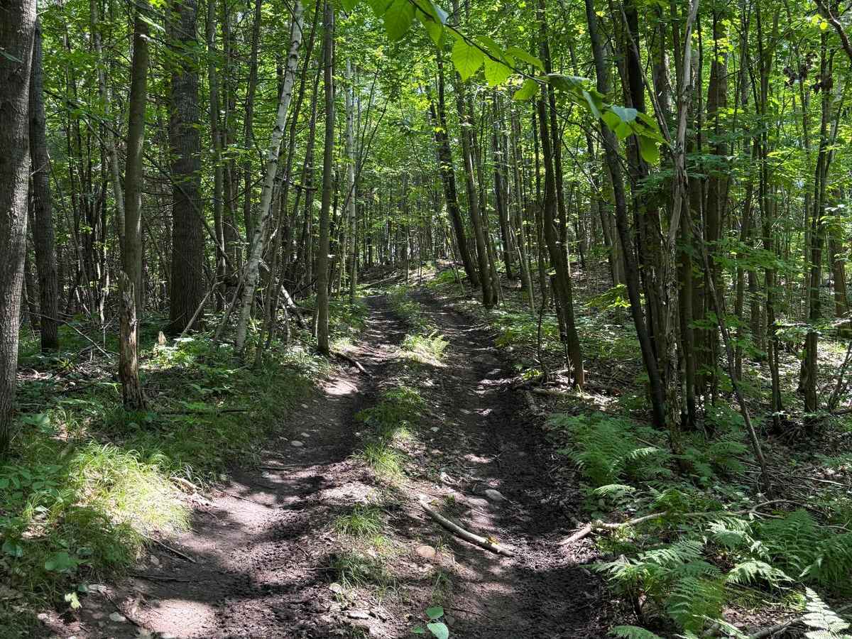 Hemlock Ridge photo 2