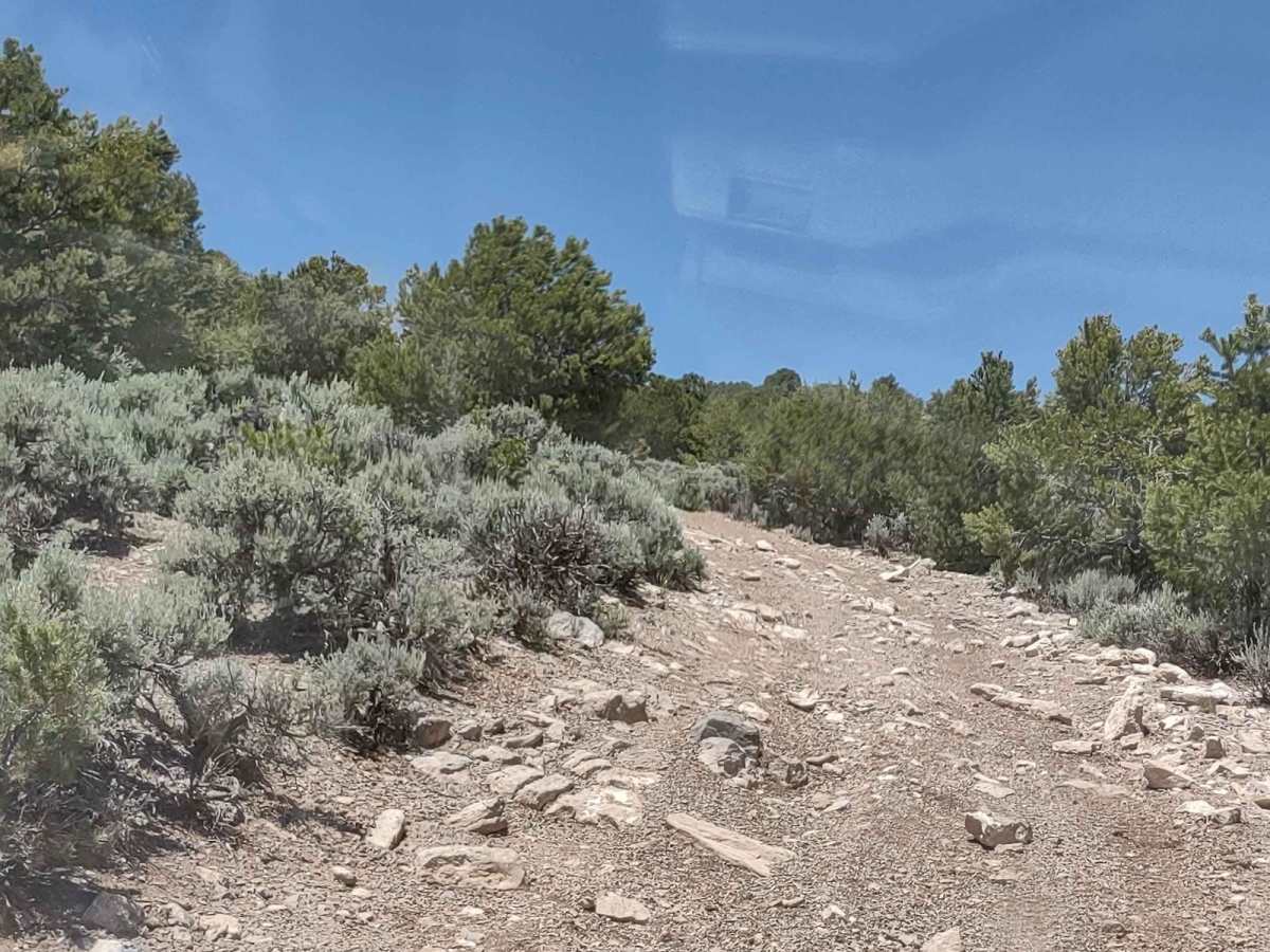 West Angle Road to Sam's Cabin photo 5