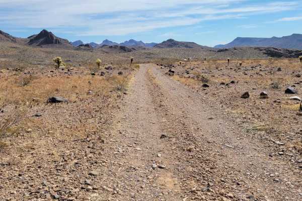 Lone Mine Trail