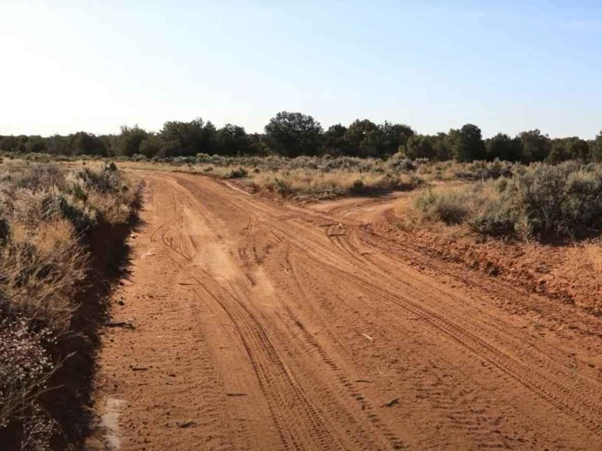 Baulie's Road - San Juan County B236 photo 4