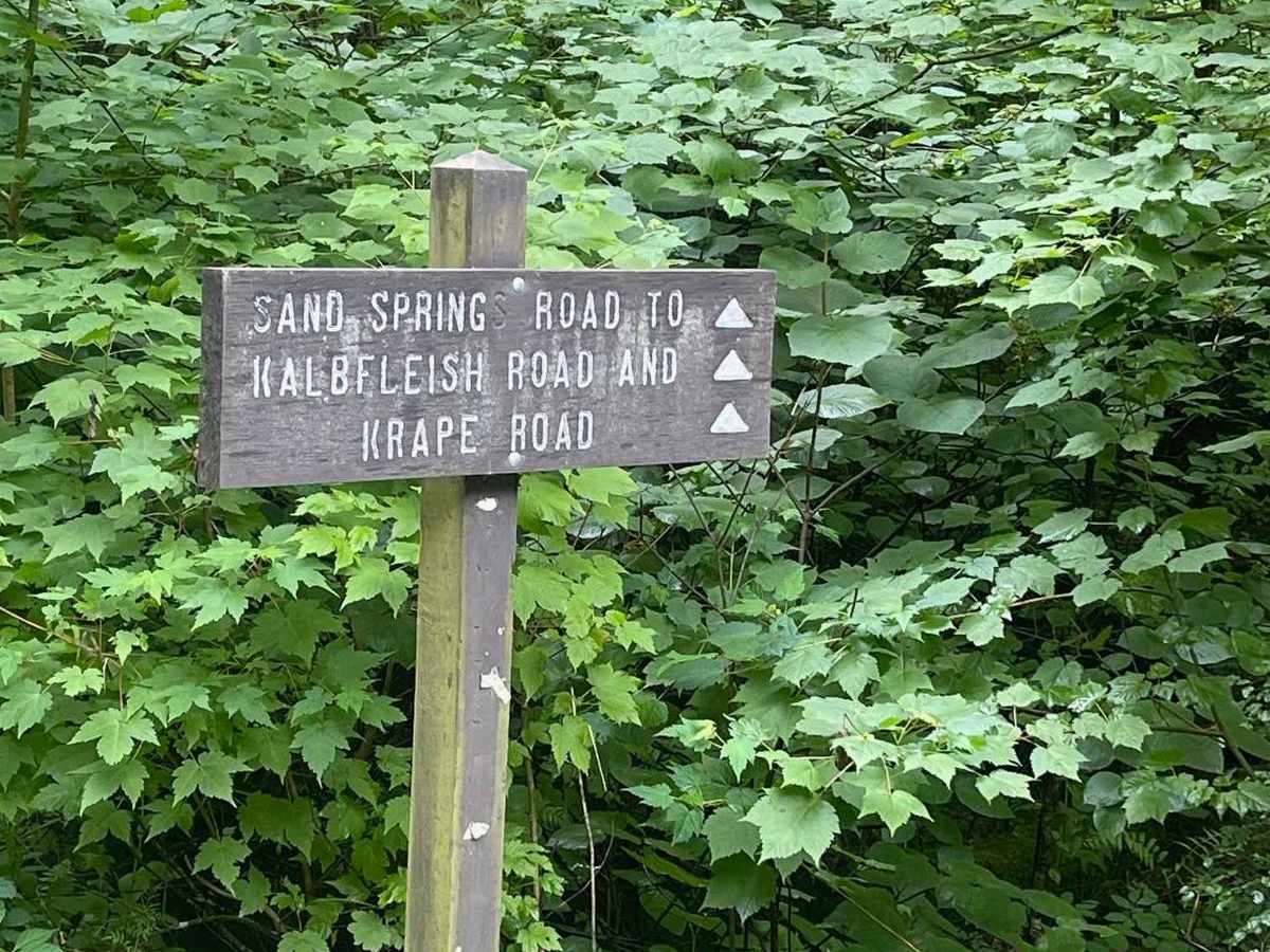 Sand Spring Road trail photo