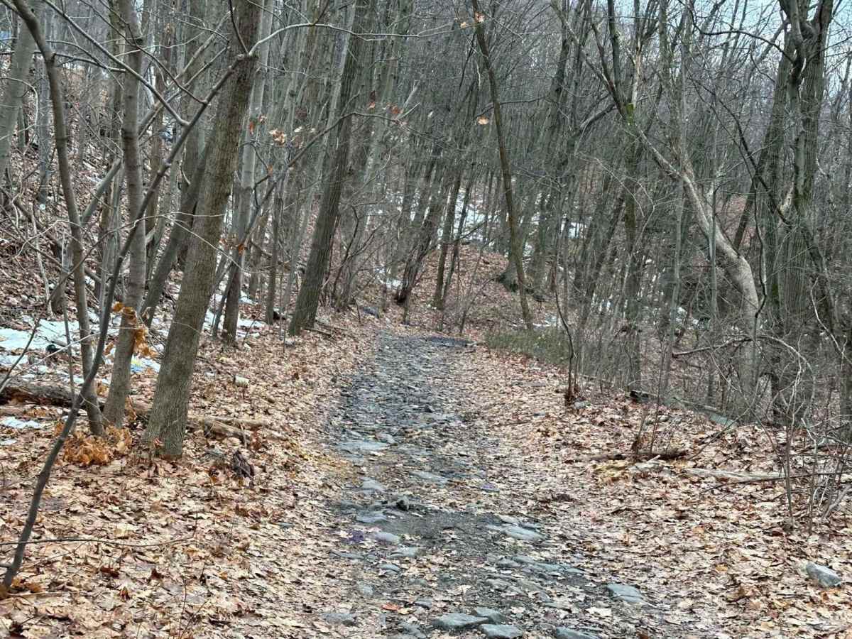 Ashland 87 trail photo