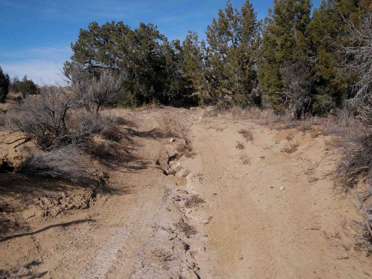 North Twin Wash to Pickering Arroyo ATV photo 3