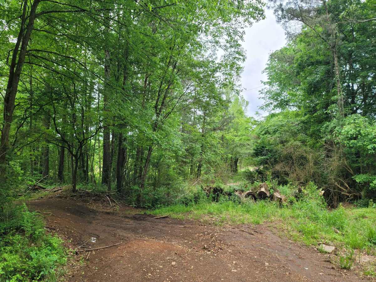 Rally Run photo 4