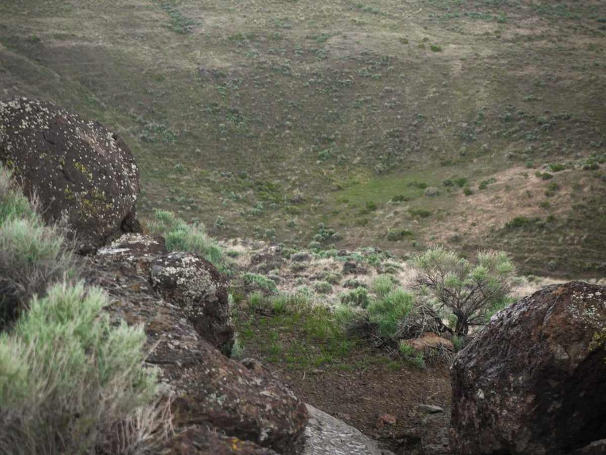 Swami (More Difficult) trail photo
