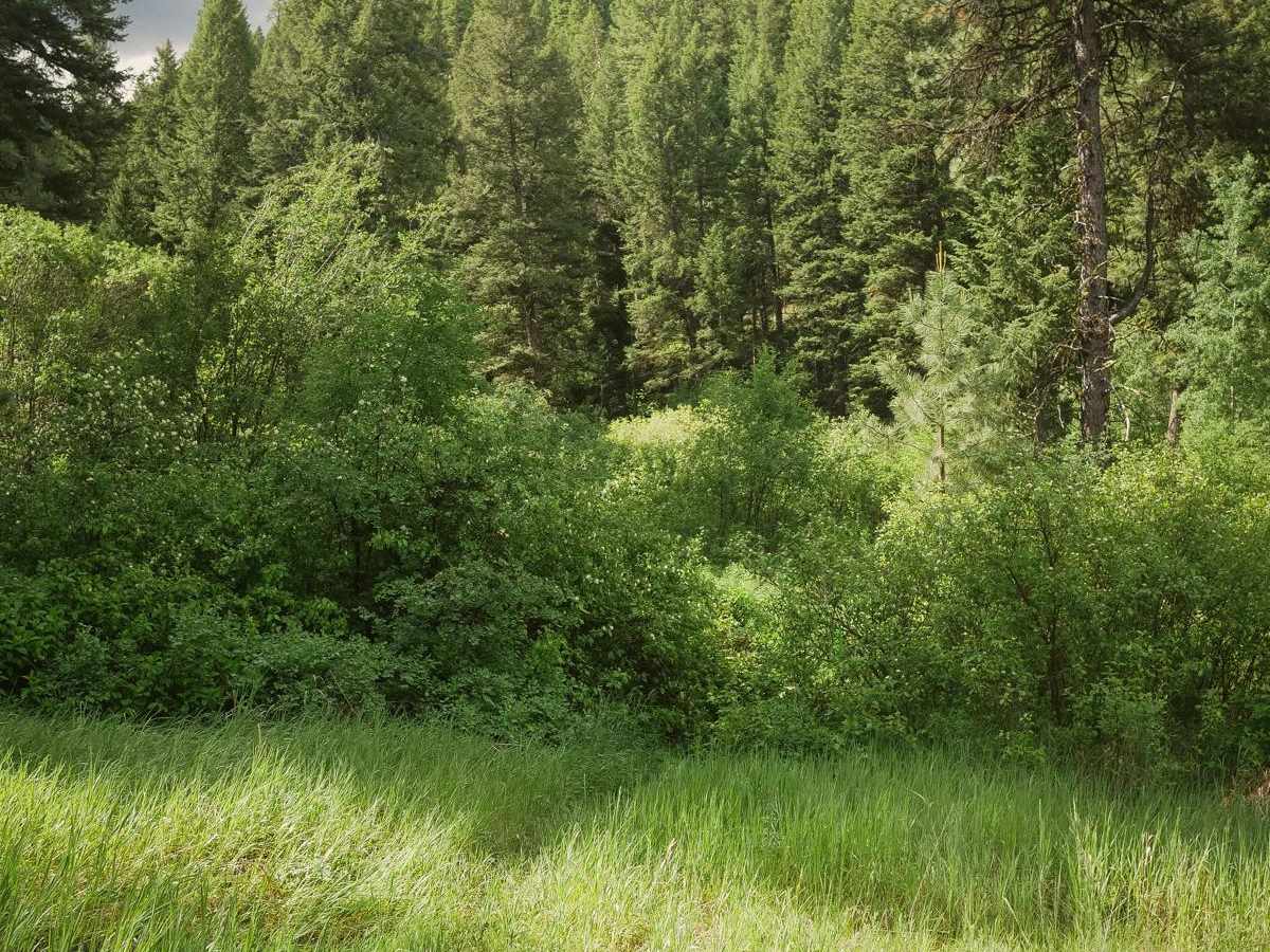Powder Gulch trail photo