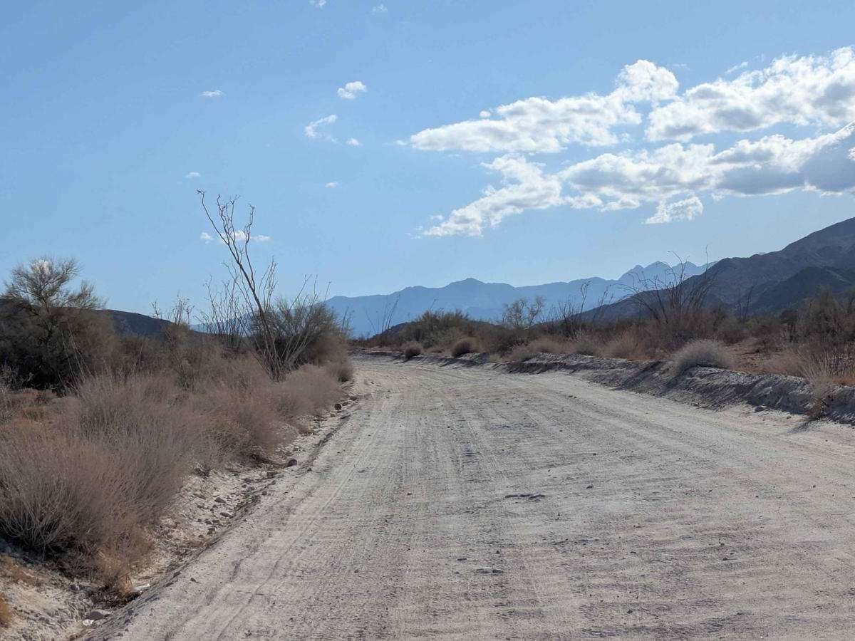 Desert Rise photo 2