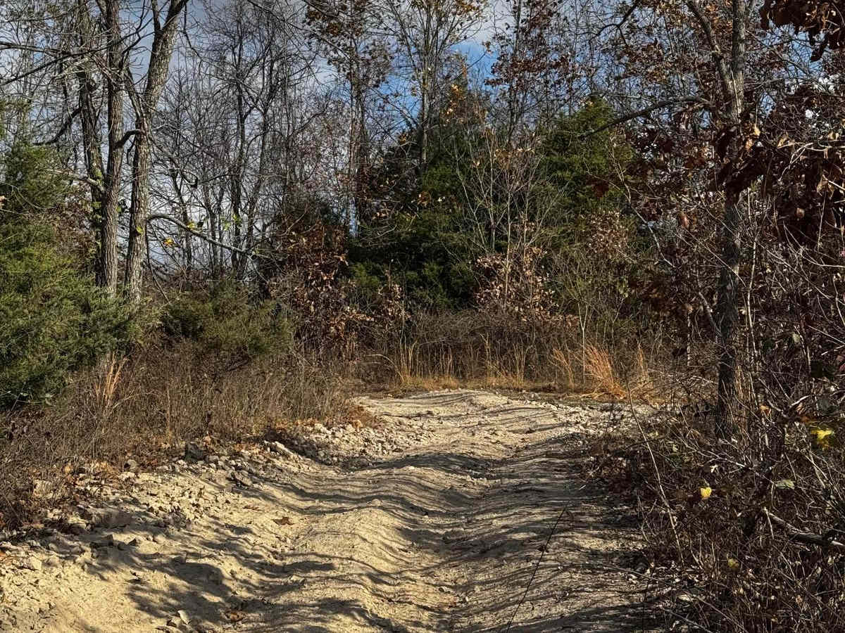 Love Hurts trail photo