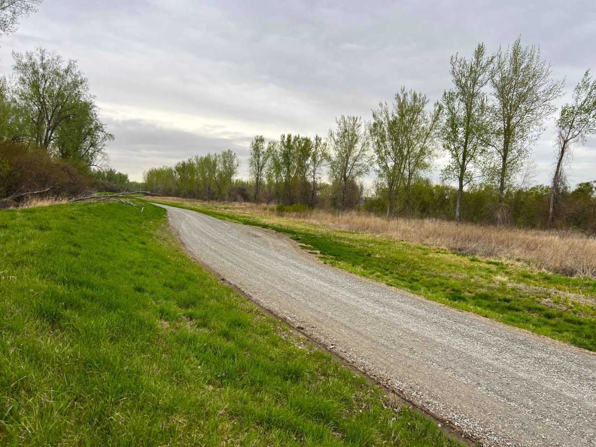 Bob Brown trail photo