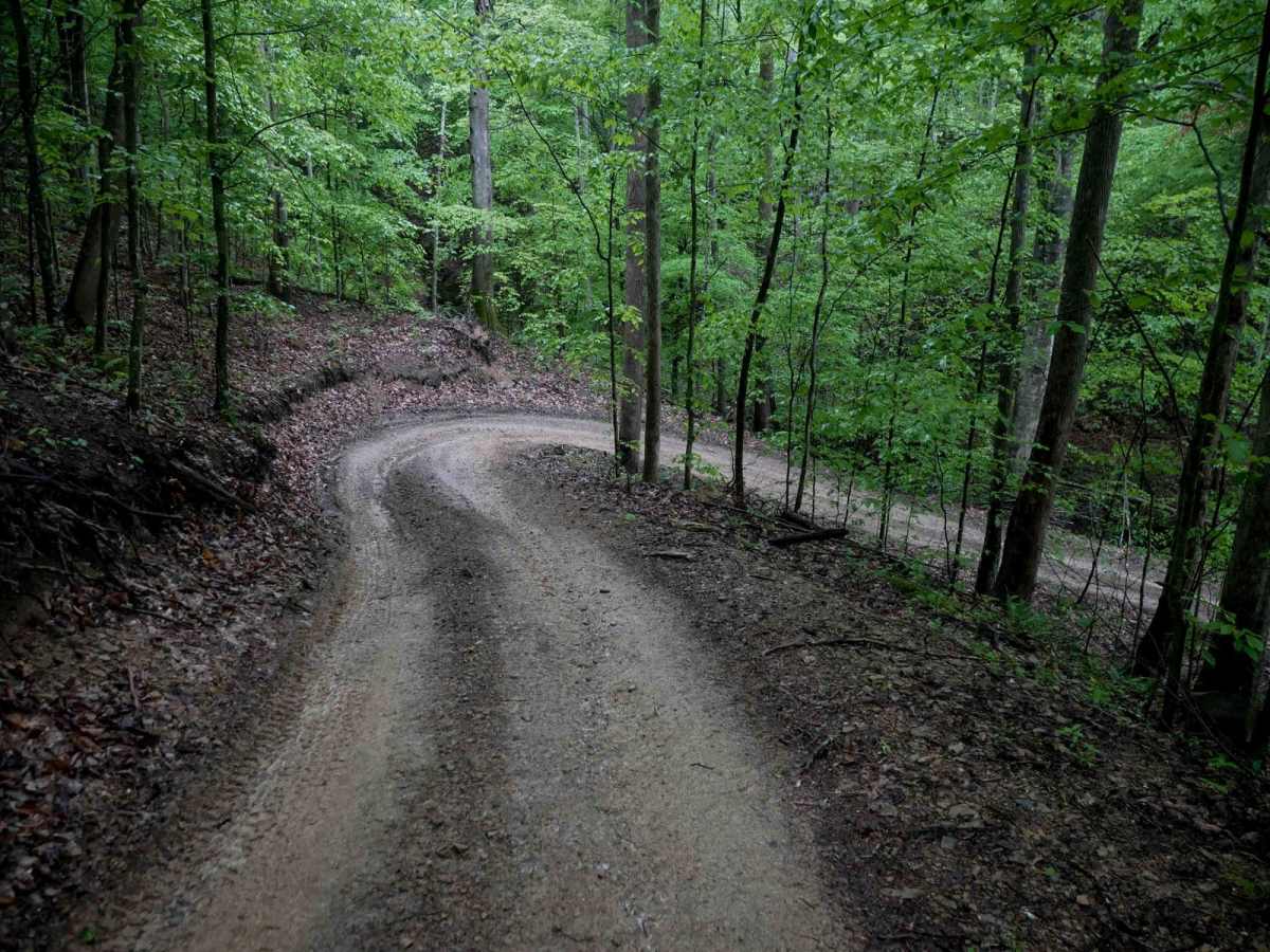 IB 44 trail photo