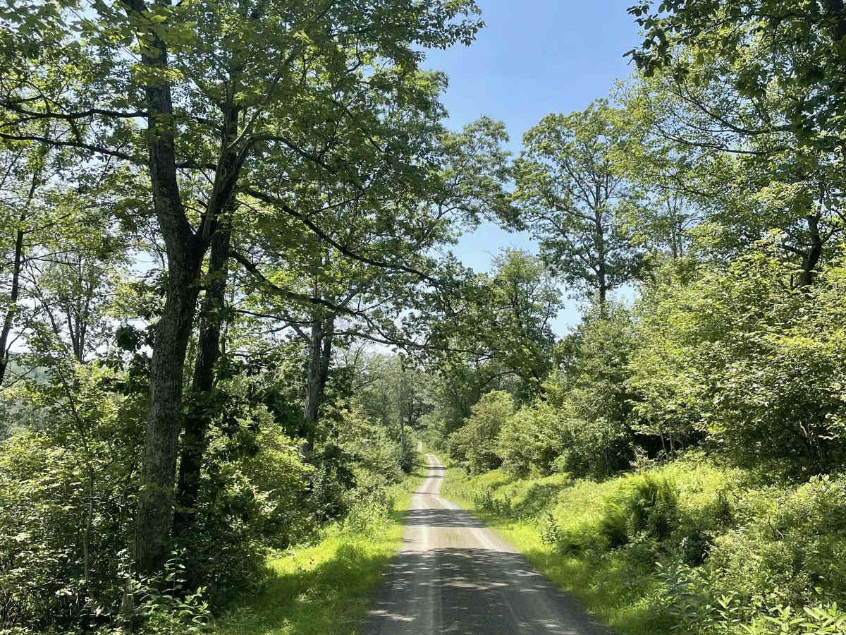 Pine Flat Road photo 4