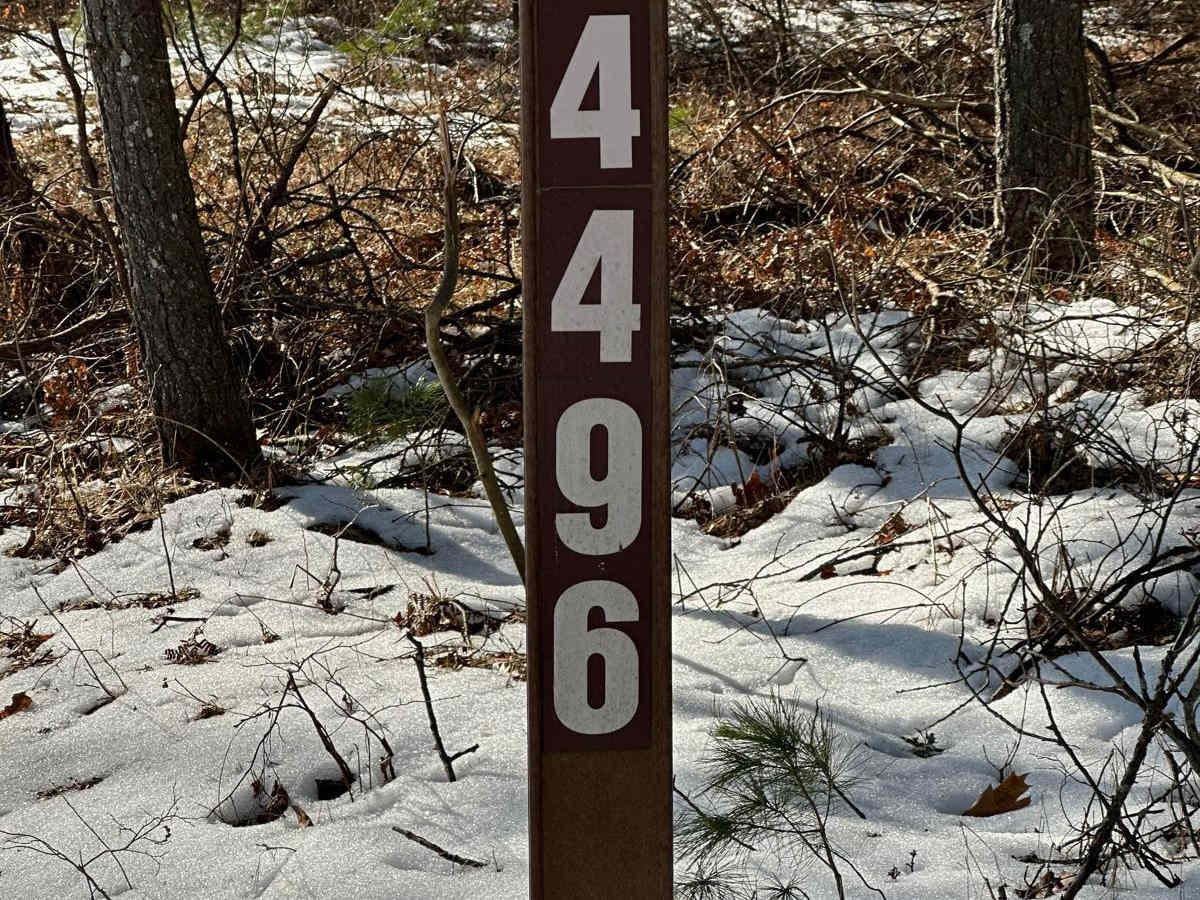 FS 4496 trail photo