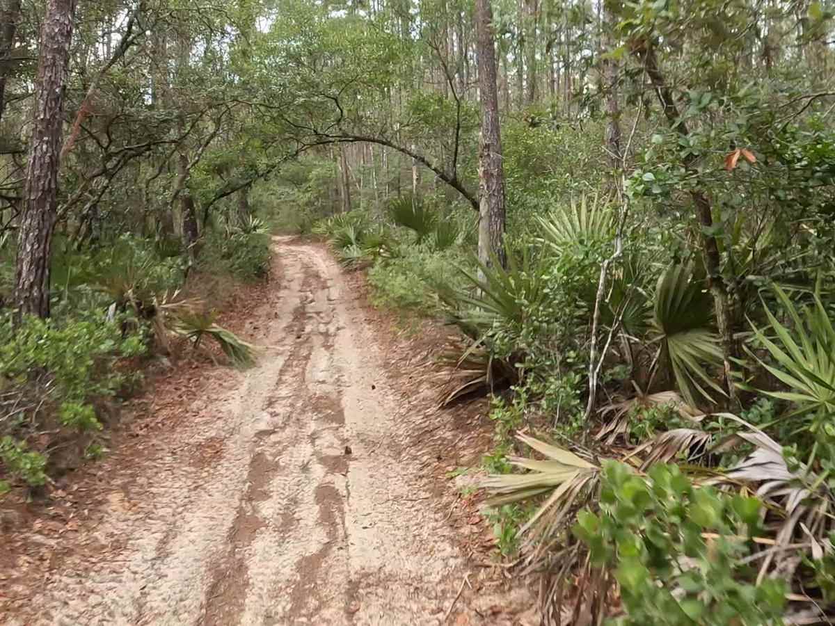 FS 221 G trail photo