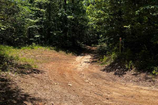Locust Stake Ranger Run - 148