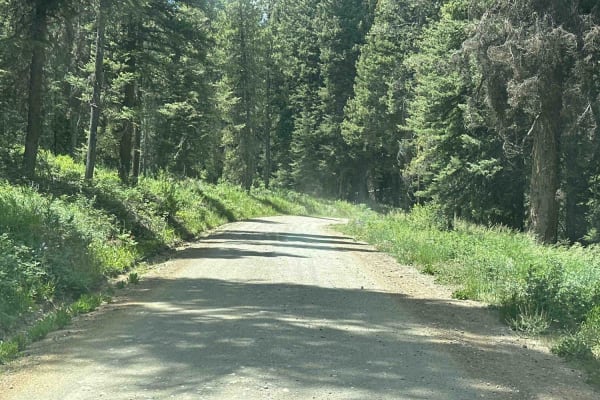 Fourmile Meadow