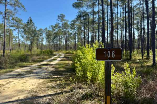 Rowletts Creek - FS 106