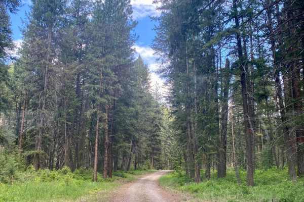 Eddy Creek Road-Deep Creek Road