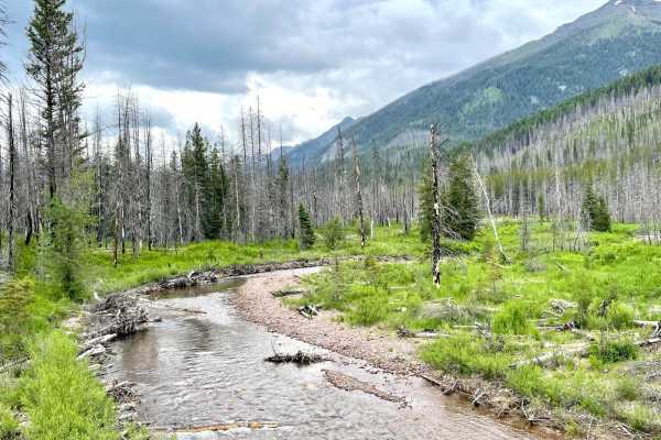 Upper Trail Creek