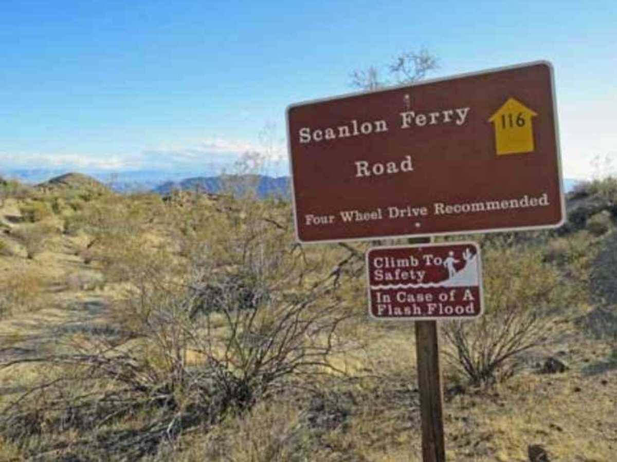 Scanlon Ferry Road photo 6