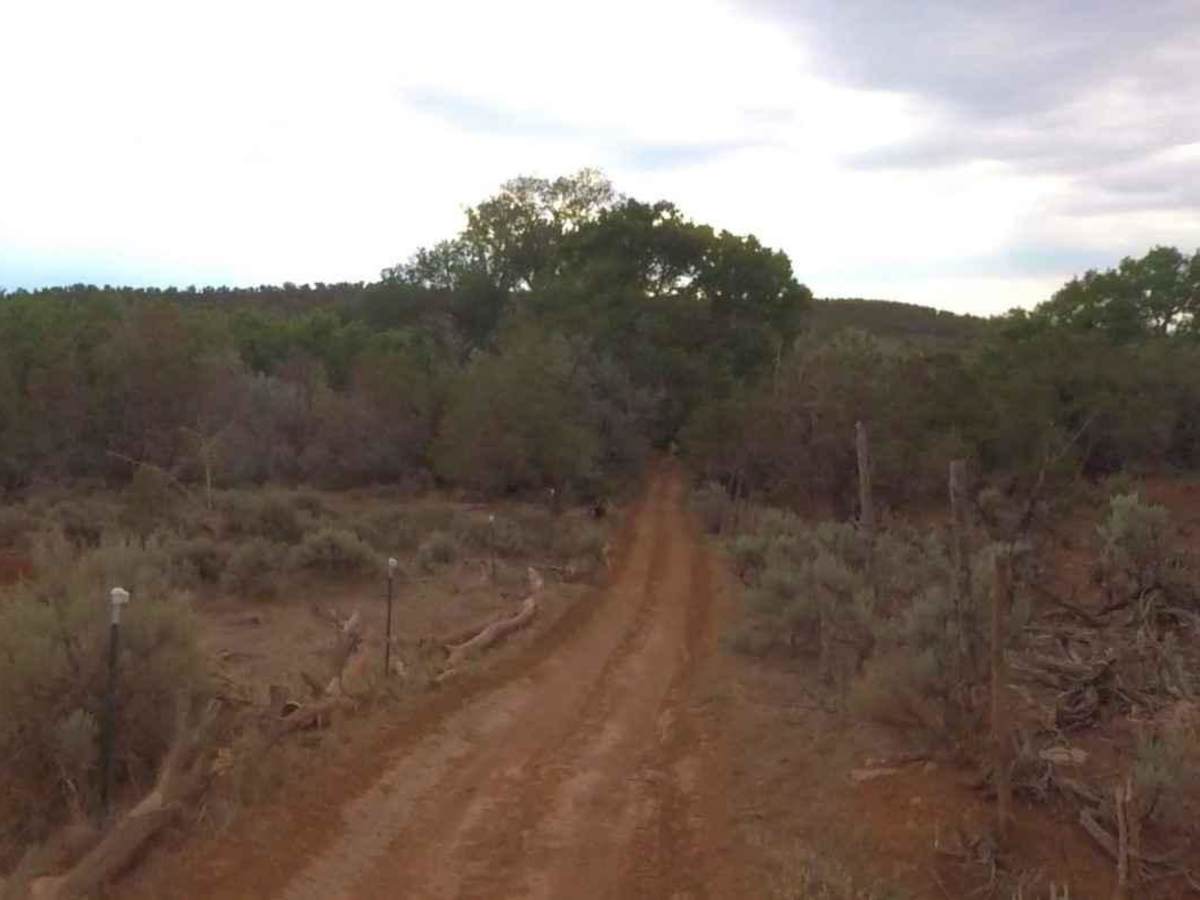Recapture Rim Trail photo 6