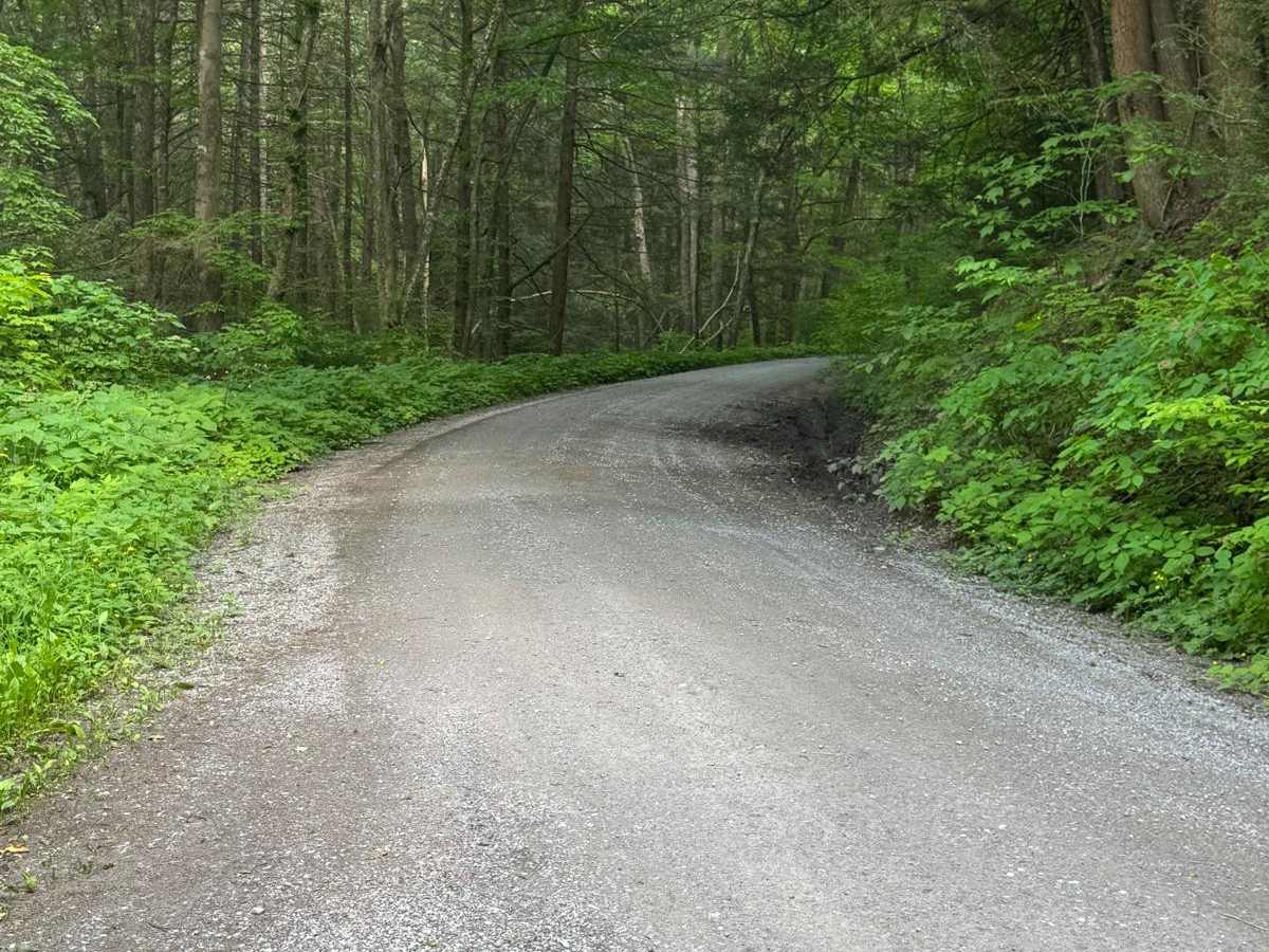 Benson Road photo 2