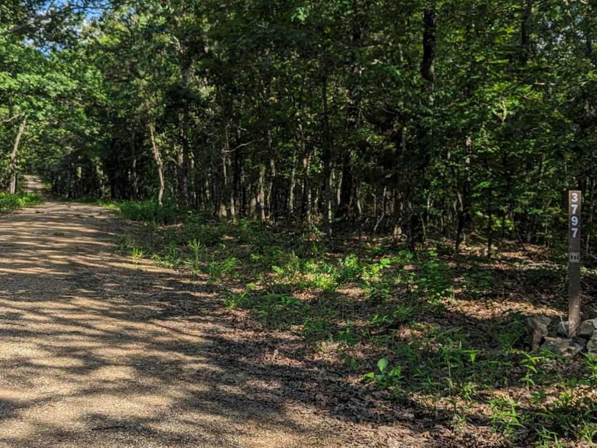 Little Brushy Ridge trail photo