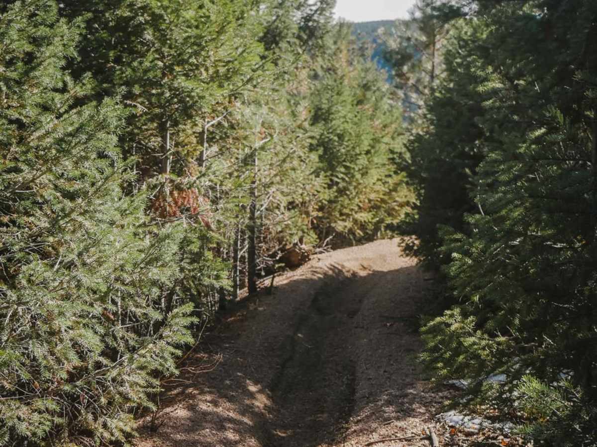 654 Roi Tan ATV Trail photo 2