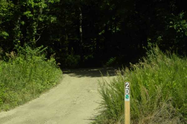Trail 2D(easy)
