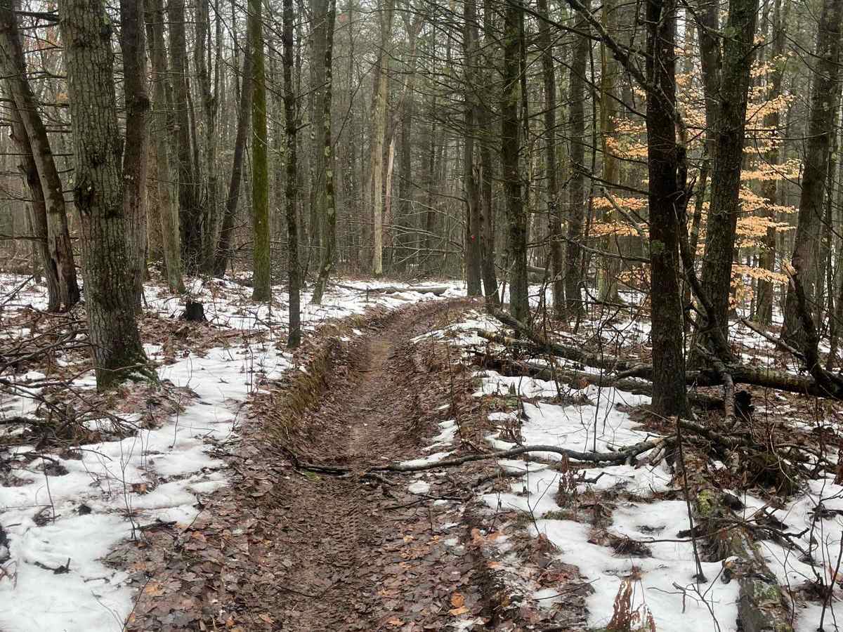Horseshoe Motorcycle Trail Part 1 photo 5