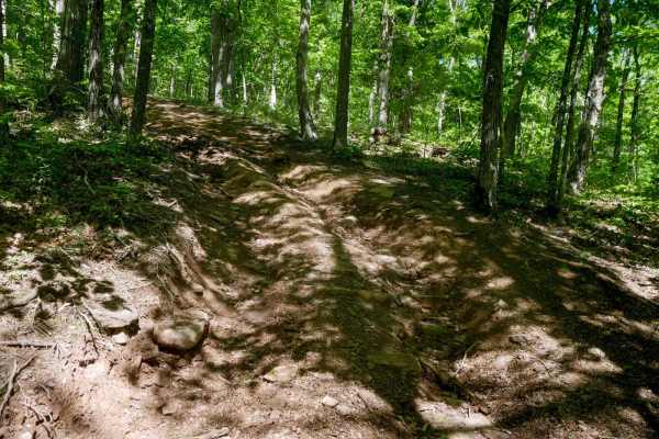 Trail 22