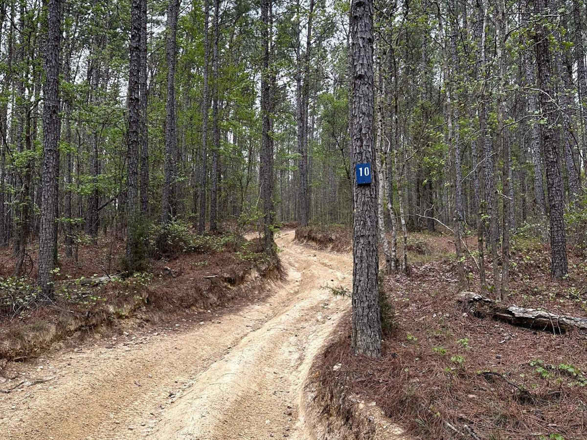 Trail 10 photo 5