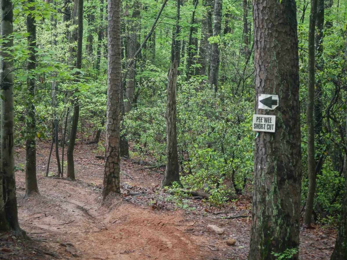 Youth Trail photo 4