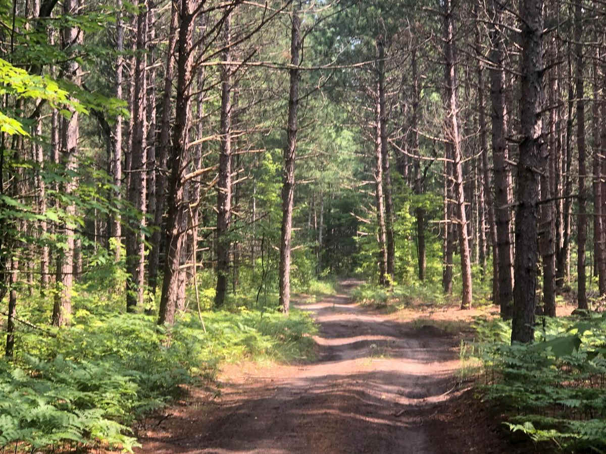 Betsie Valley Spur photo 6