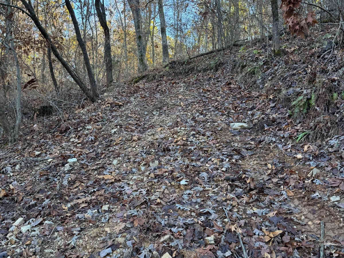 Yellow 144 photo 4