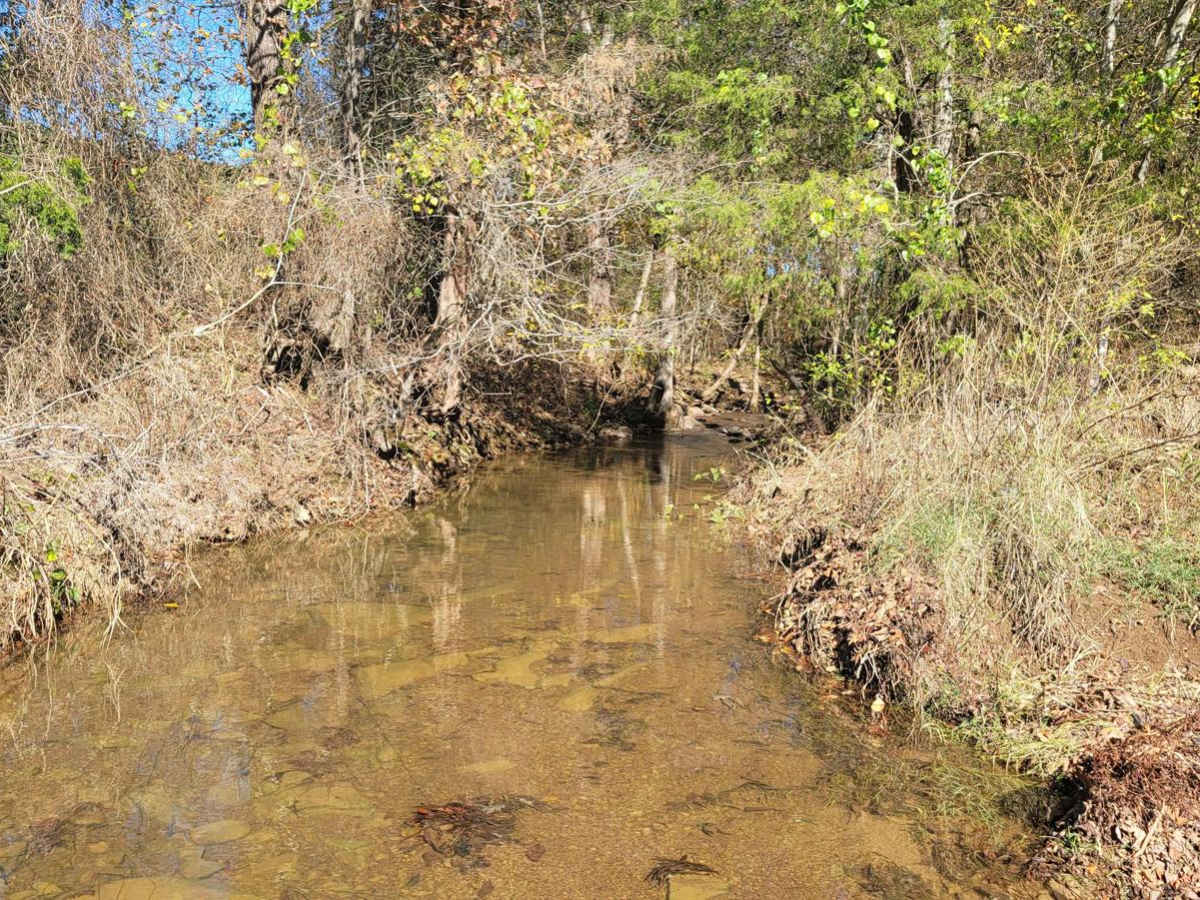 Haw Creek photo 4