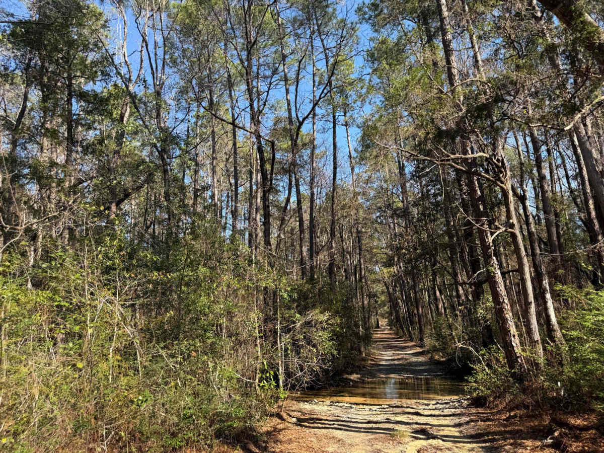 Florida State R78 photo 6