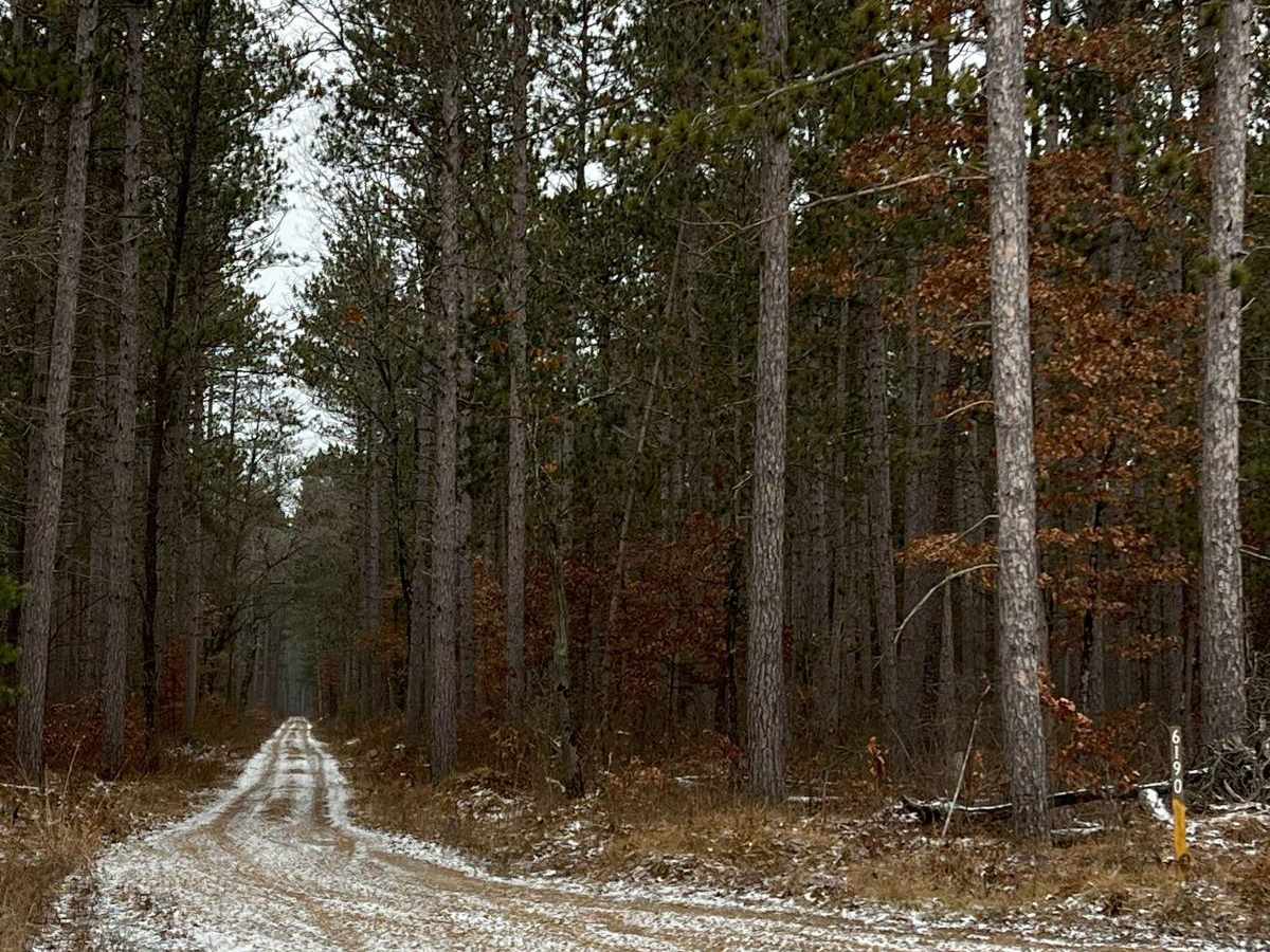 NFS 6190 trail photo