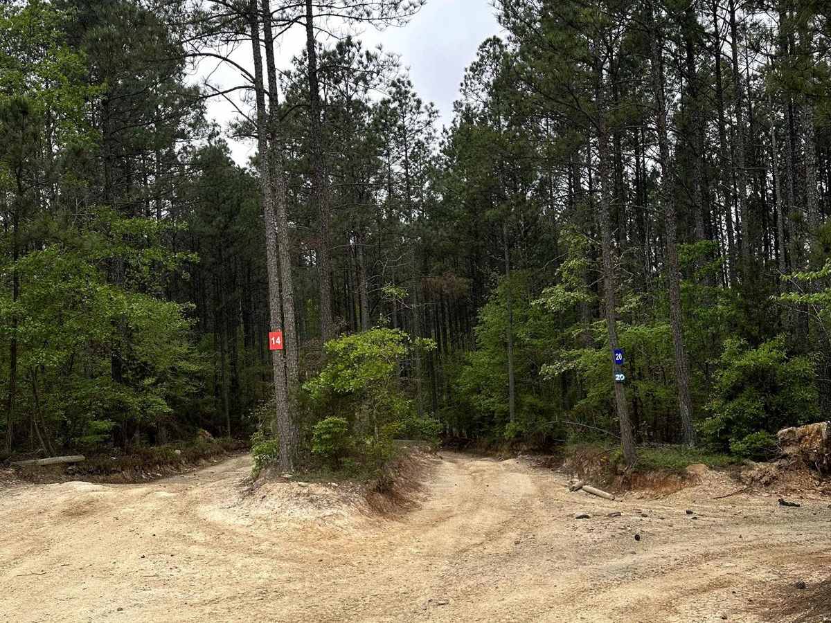 Trail 20 photo 6