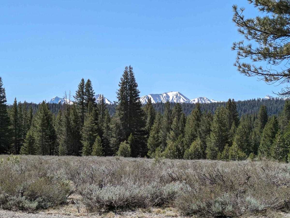 Inyo crater via Dry Creek Spur trail photo
